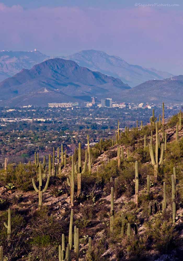 New Dentist Patient in Tucson