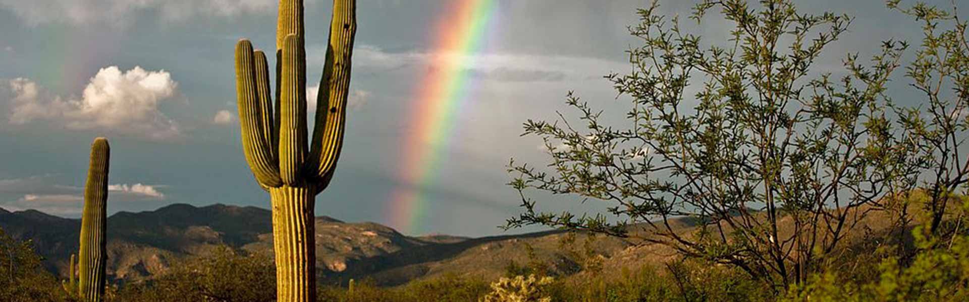 Family and Cosmetic Dentist in Tucson